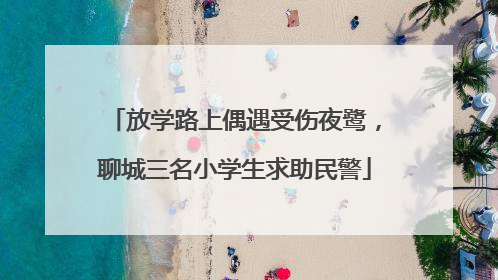 放学路上偶遇受伤夜鹭，聊城三名小学生求助民警